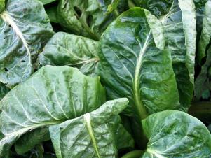 CC-Superfoods_spinach_s3x4