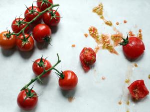 CC-Farmstand-Copeland_Cherry-Tomatoes-2_s4x3