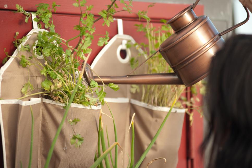 Space-Saving Vertical Hanging Garden : How-to : Cooking Channel