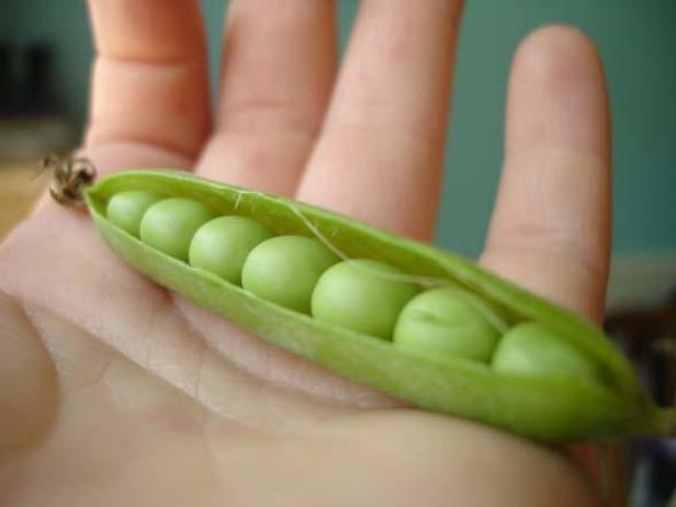 Fresh Peas: Friend or Foe? 
