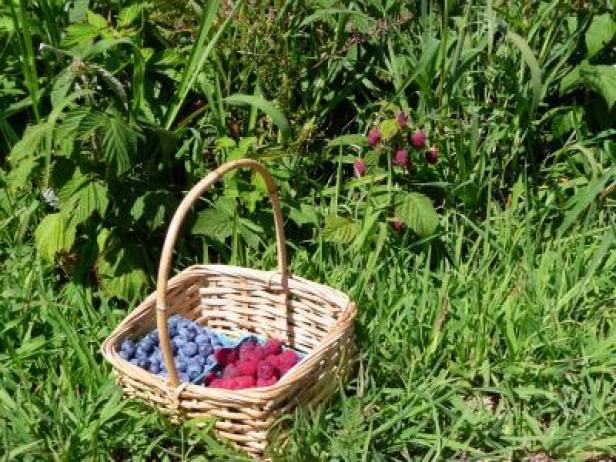 blueberries and raspberries basket_picnik