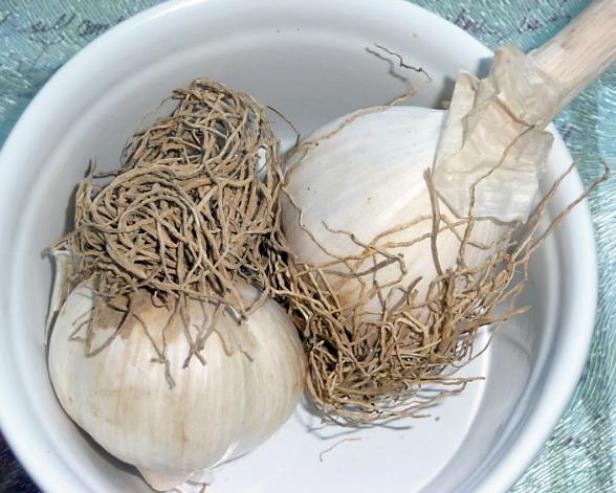 garlic before