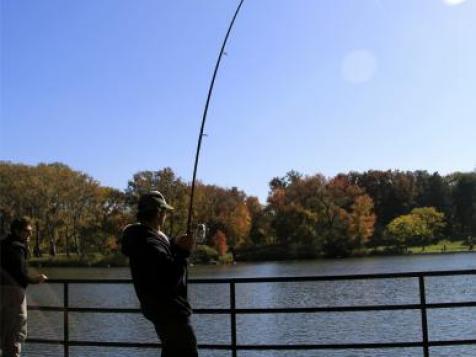 Fishing (and Surfing) in The Big Apple