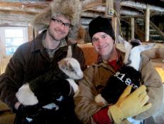 The Fabulous Beekman Boys thought it would be a fun project to move from New York City to a 210-year-old farmhouse and make organic goat milk soap.