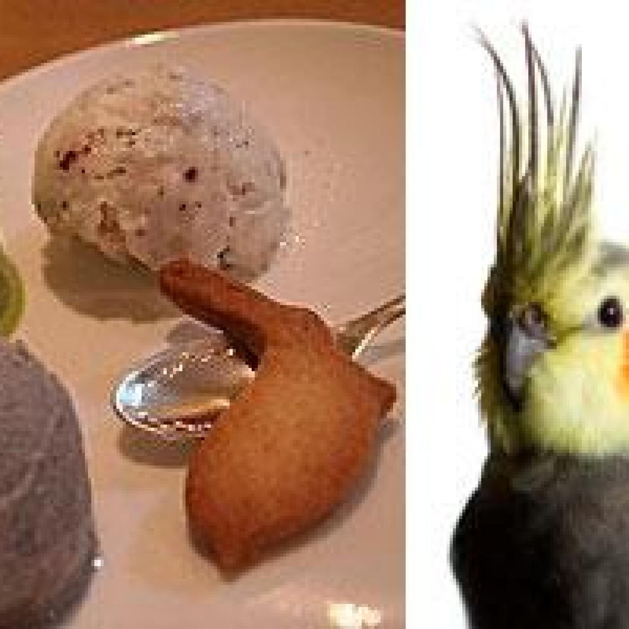 Bird 2025 icecream flavors