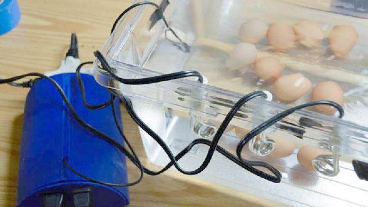 College Student Creates DIY Bluetooth Sous-Vide, Devour