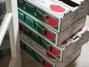 Tomato_Canning-Boxes_s4x3