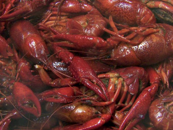 Boiled Crawfish Recipes Cooking Channel Recipe Cooking Channel