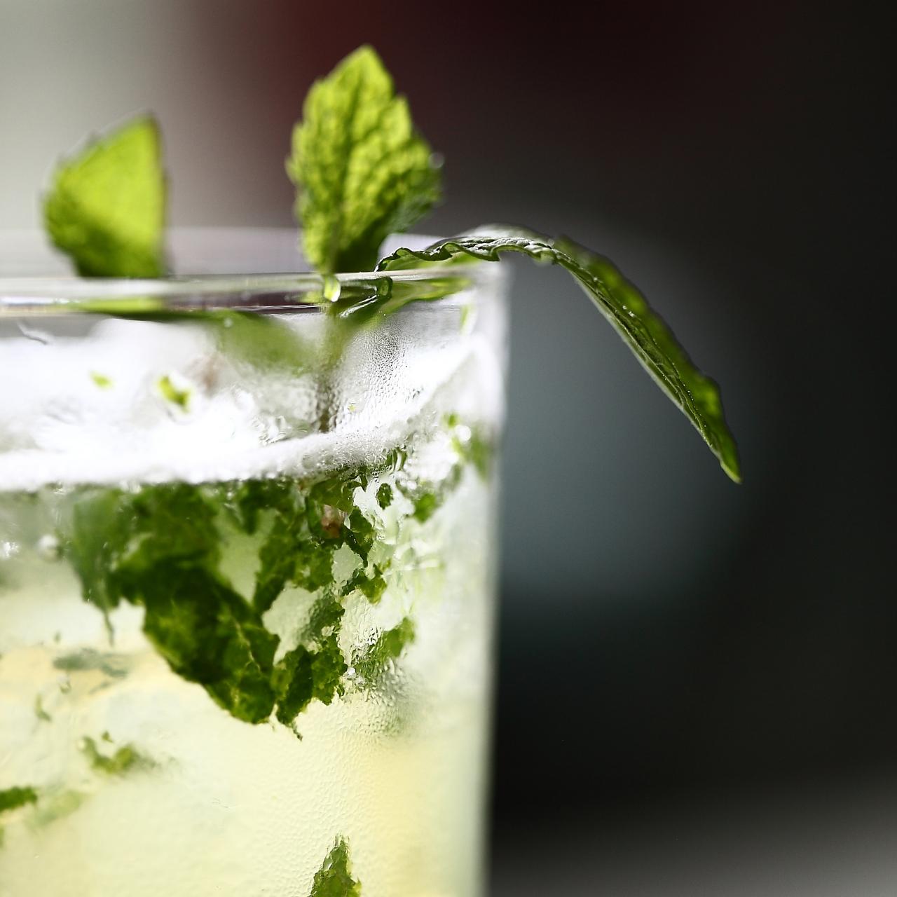 Green Tea Mojito Tea Mixer