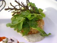 Cooking Channel serves up this Fried Green Tomatoes with Basil Mayonnaise recipe from Lynn Crawford plus many other recipes at CookingChannelTV.com