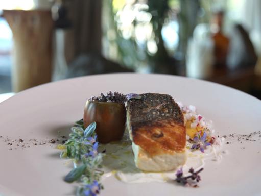 Sea Bass Recipe Chuck Hughes Cooking Channel