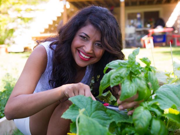 Spice of Life with Bal Arneson : Shows : Cooking Channel | Cooking Channel