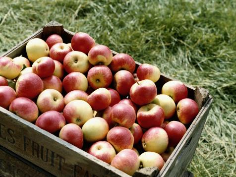 Health Benefits of Apples