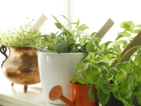 Grow a Kitchen Herb Garden in 5 Easy Steps