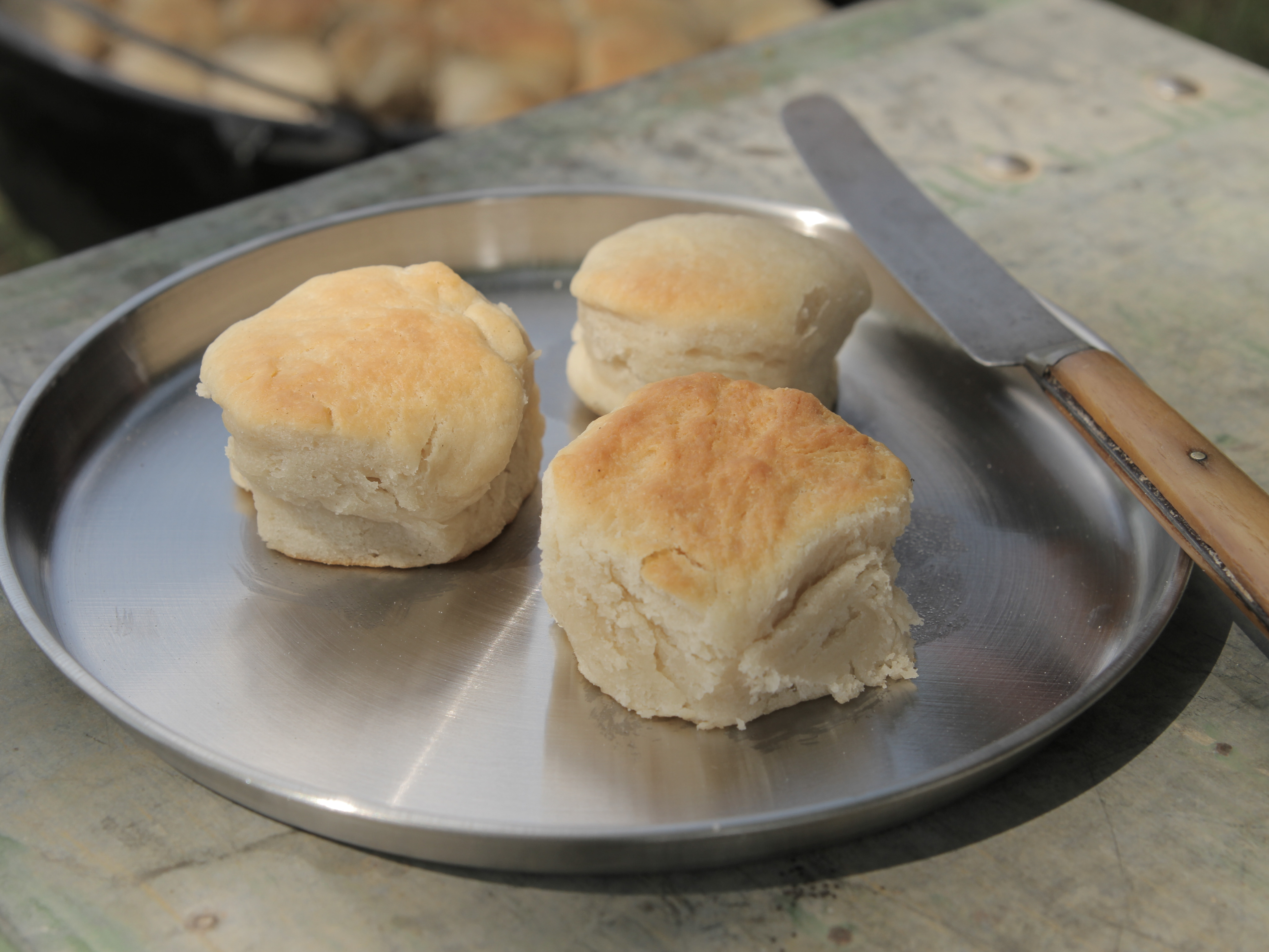 sourdough biscuit recipe