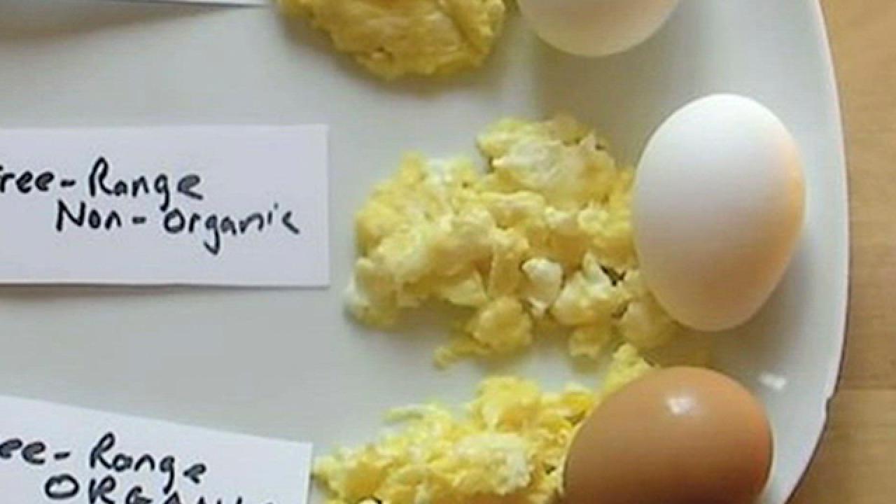 Taste Test: Eggs