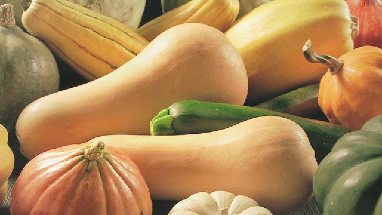 All About Squash