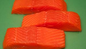 All About Salmon