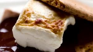 The History of S'mores