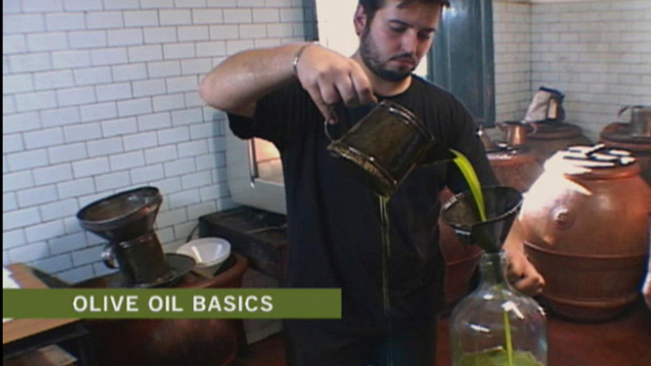 The Basics of Olive Oil