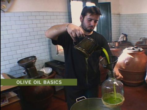 The Basics of Olive Oil
